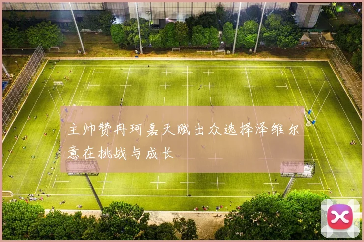 主帅赞冉珂嘉天赋出众选择泽维尔意在挑战与成长